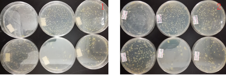 “超聲波處理對稻谷表面微生物的影響”發(fā)表論文啦??！