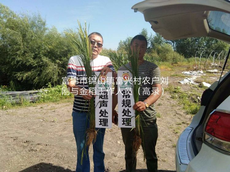 黑龍江雙鴨山市與佳木斯市的超聲波玉米、水稻種植田調查