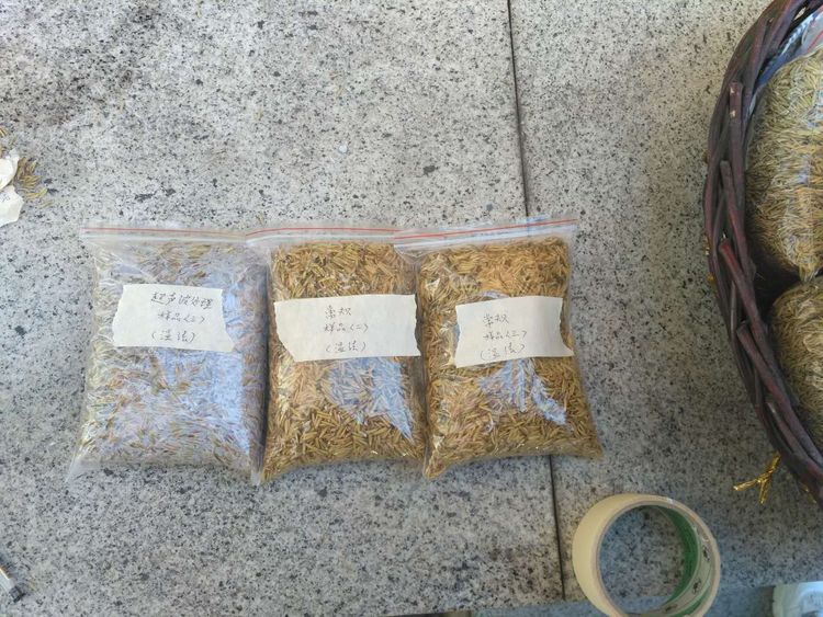 “超聲波處理對稻谷表面微生物的影響”發(fā)表論文啦??！