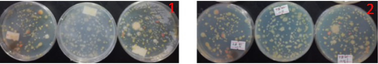 “超聲波處理對稻谷表面微生物的影響”發(fā)表論文啦！！